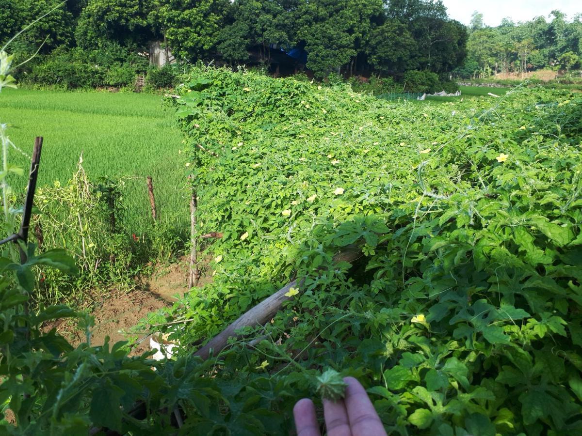 Meadow Mai Chau Homestay Buitenkant foto